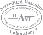 ICAVL Logo